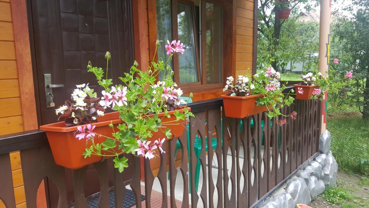 Садиба Гуцулка Ксеня Γιαρέμτσε Εξωτερικό φωτογραφία